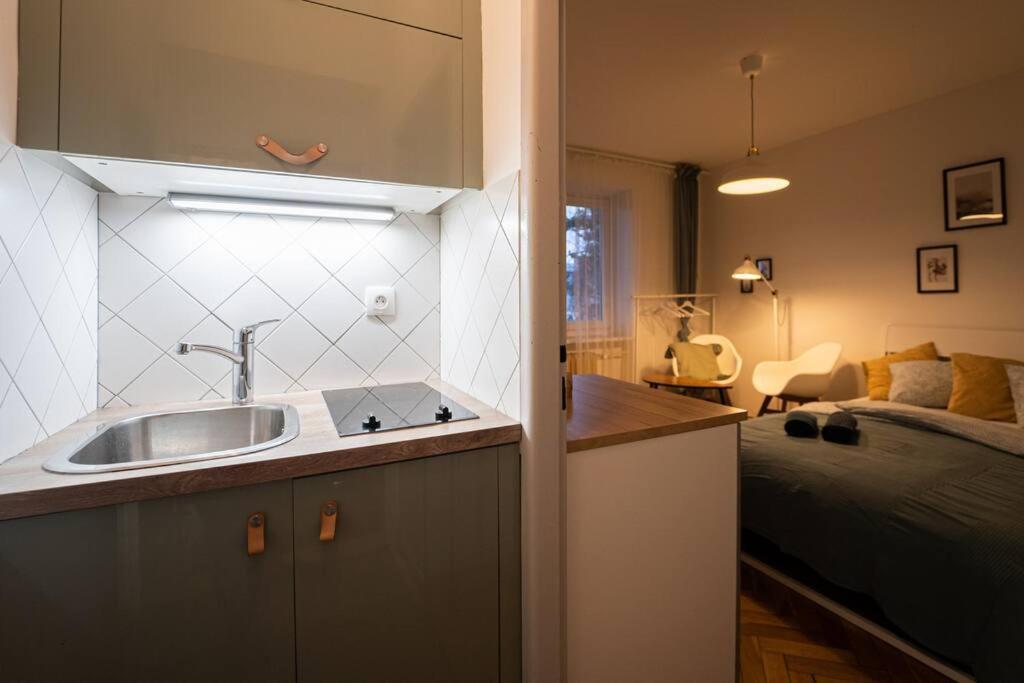 Mini Studio In Masaryk Quarter - Brno Apartment Luaran gambar